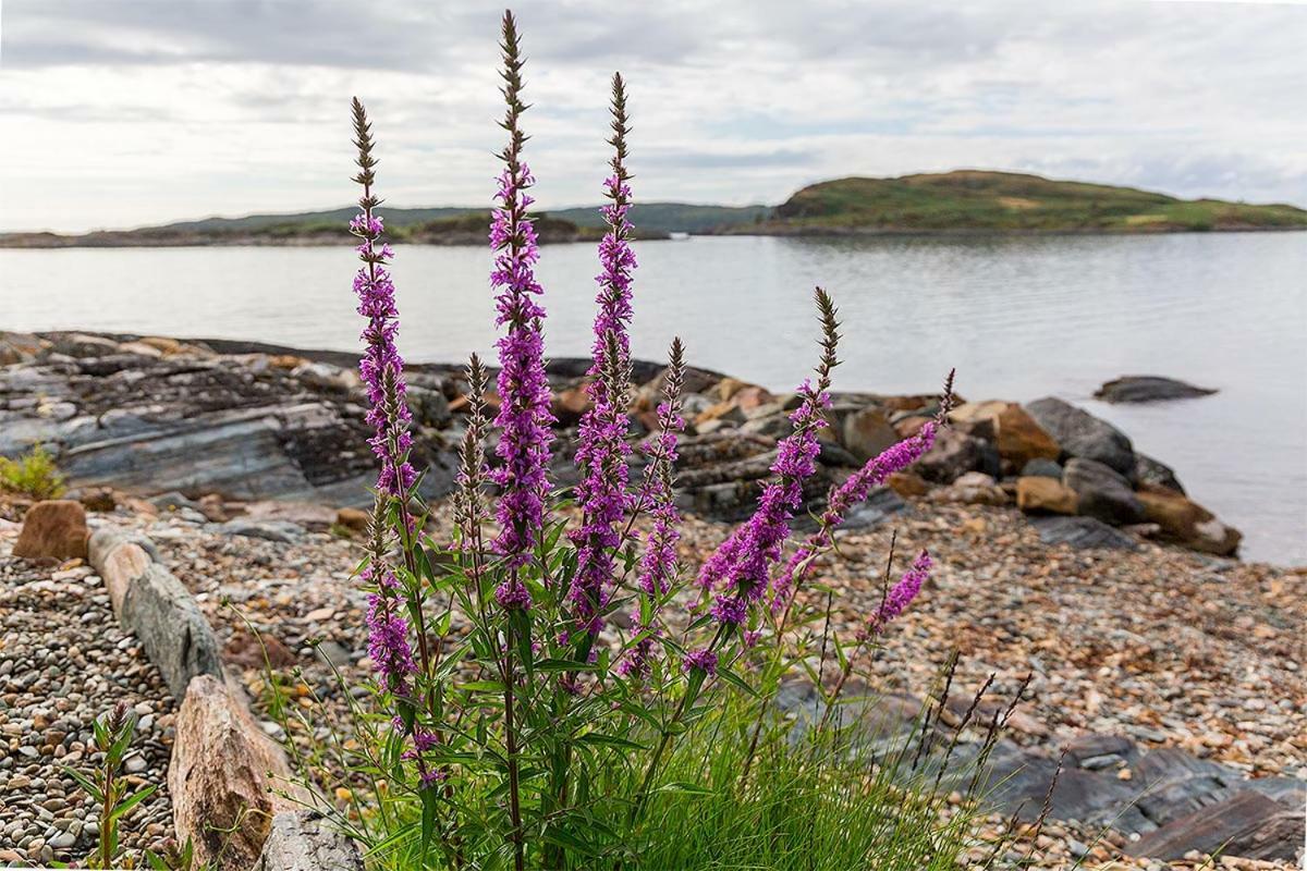 Lunga House Beach Lodges Craobh Haven Экстерьер фото